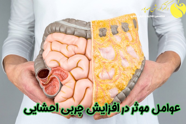 عوامل موثر در افزایش چربی احشایی