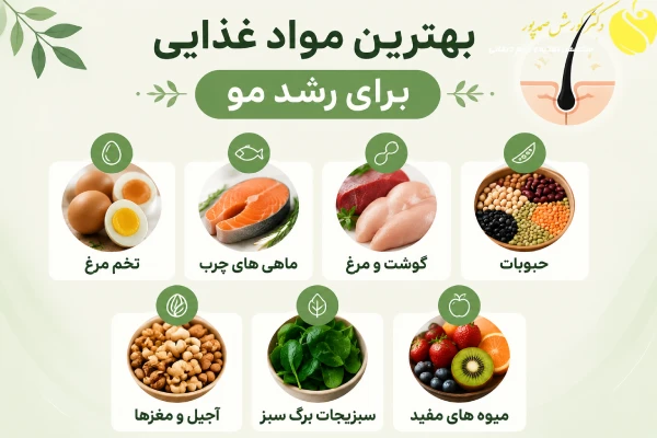 مواد غذایی برای رشد مو
